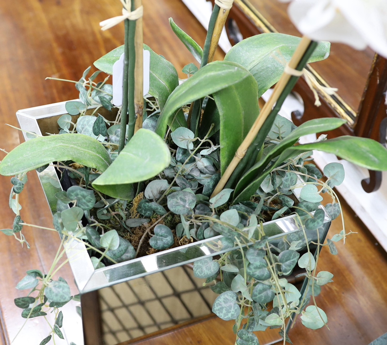 A display of tall white silk orchids in mirrored planter, approx 82cm